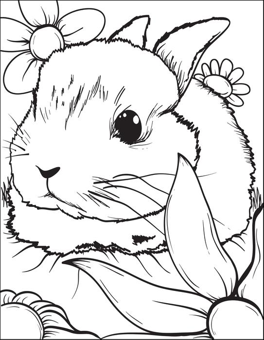 bunny coloring pages for kids - photo #36