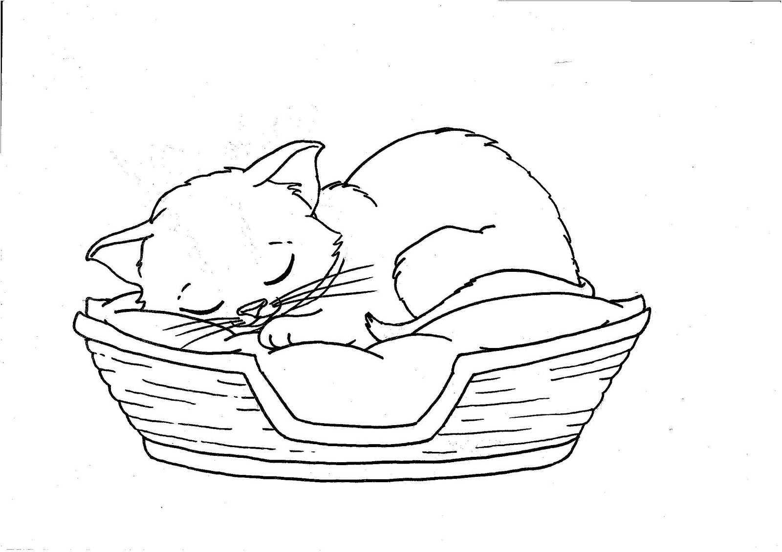 Kitten Coloring Pages - Best Coloring Pages For Kids