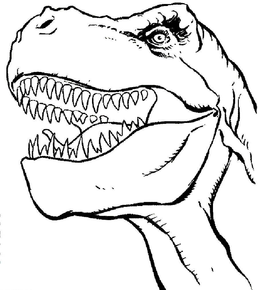 TRex Coloring Pages Best Coloring Pages For Kids