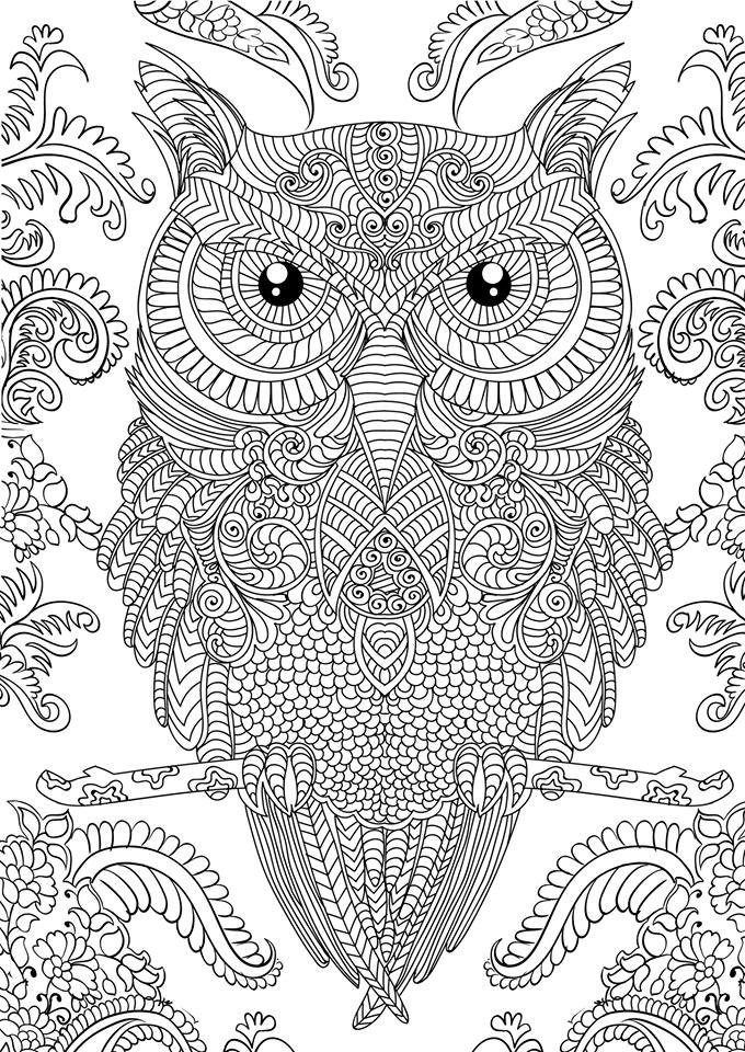 OWL Coloring Pages for Adults. Free Detailed Owl Coloring Pages