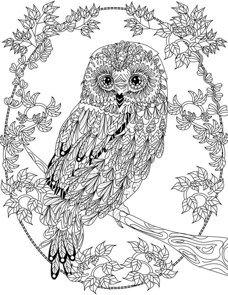 OWL Coloring Pages for Adults. Free Detailed Owl Coloring ...