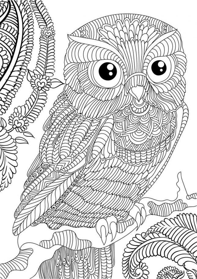 coloring owl adult printable adults detailed complex