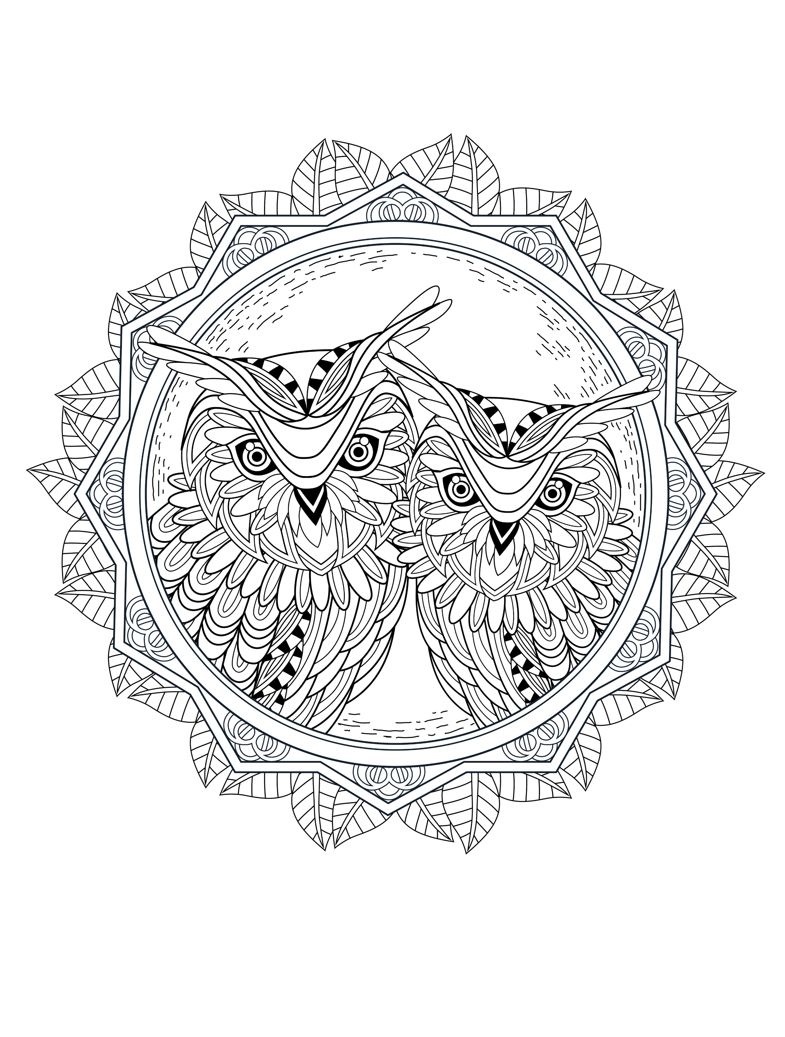 OWL Coloring Pages for Adults. Free Detailed Owl Coloring ...