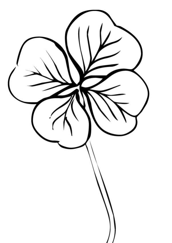 Four Leaf Clover Coloring Pages - Best Coloring Pages For Kids