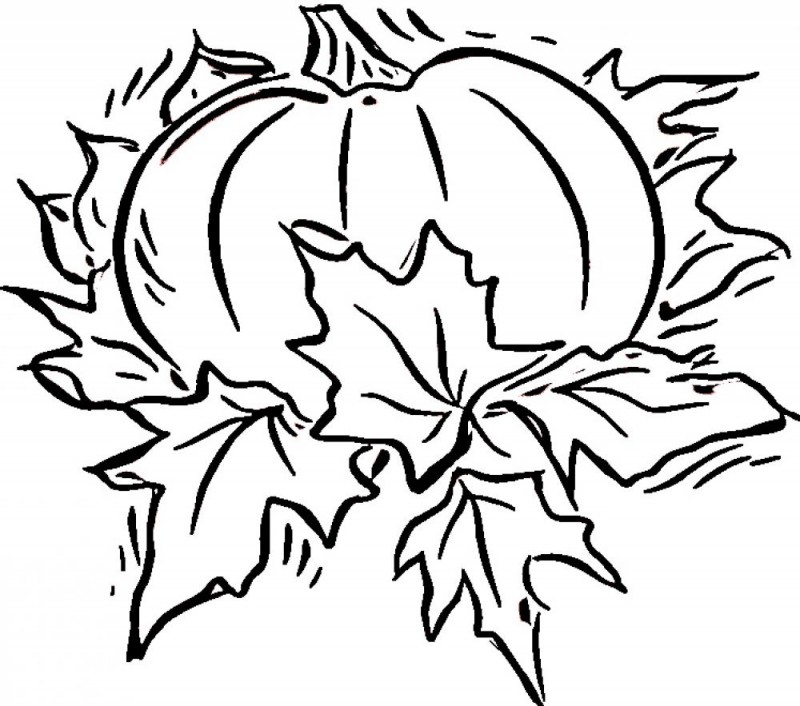 Blank Pumpkin Coloring Page