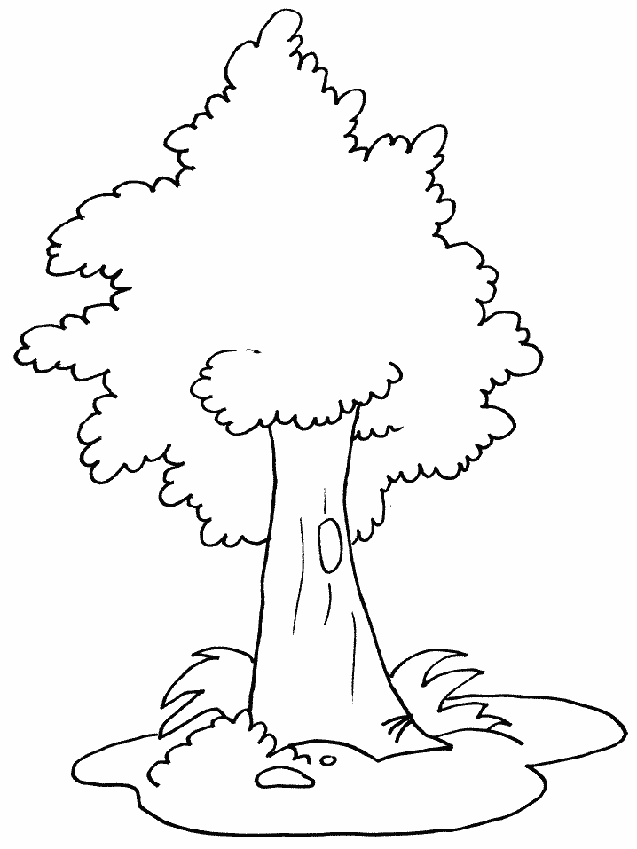 Tree Without Leaves Coloring Page