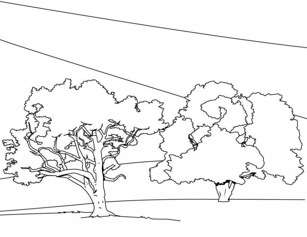 Coloring Page Trees