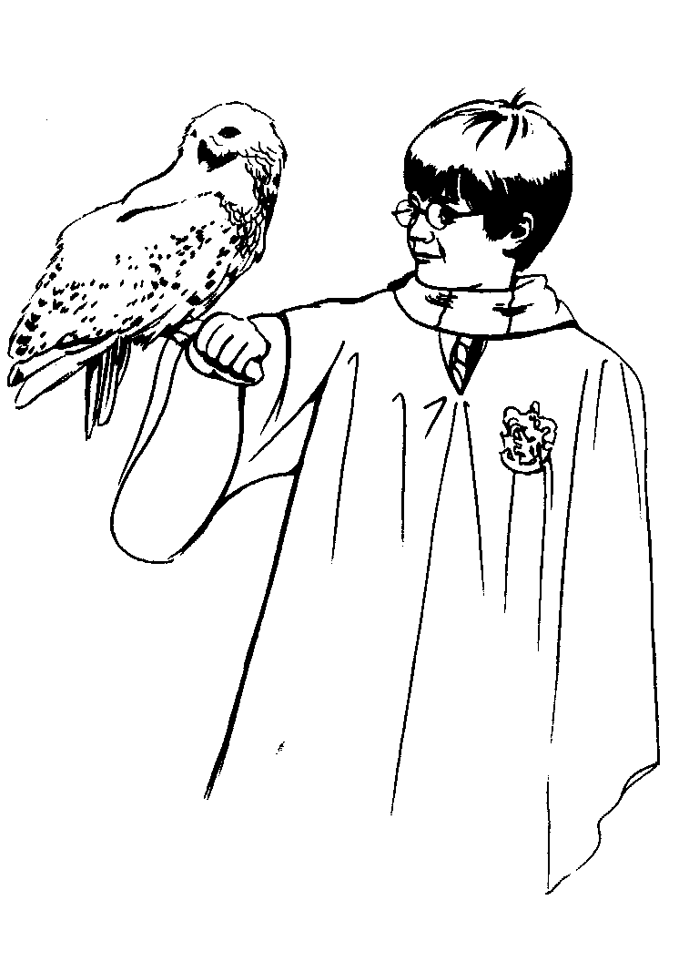 Free Harry Potter Color By Number Printables  Harry potter colors, Harry  potter coloring pages, Harry potter drawings
