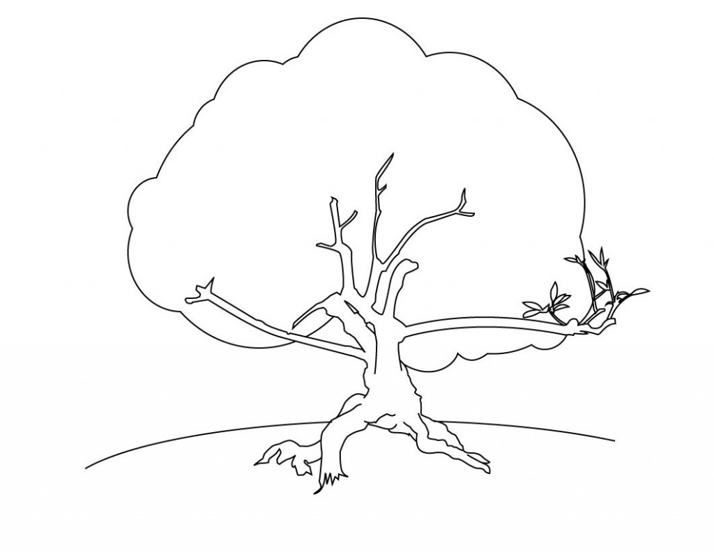 Coloring Pages Tree