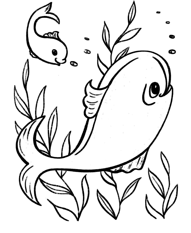 Ocean Coloring Sheets 2