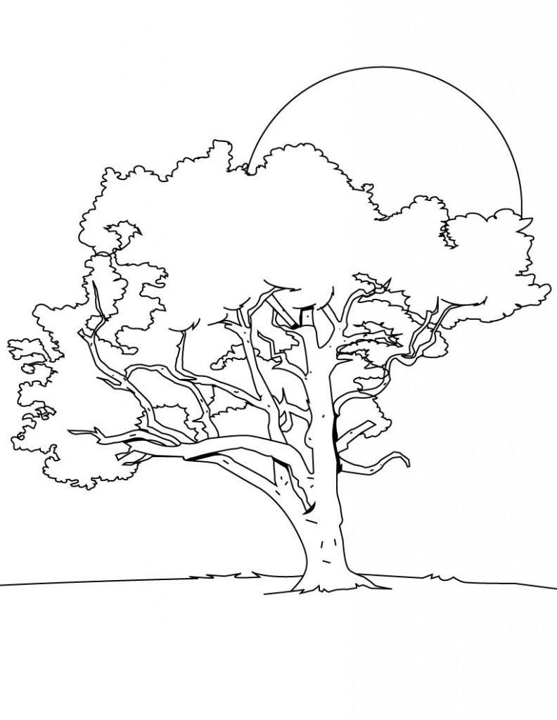 Coloring Pages of Trees