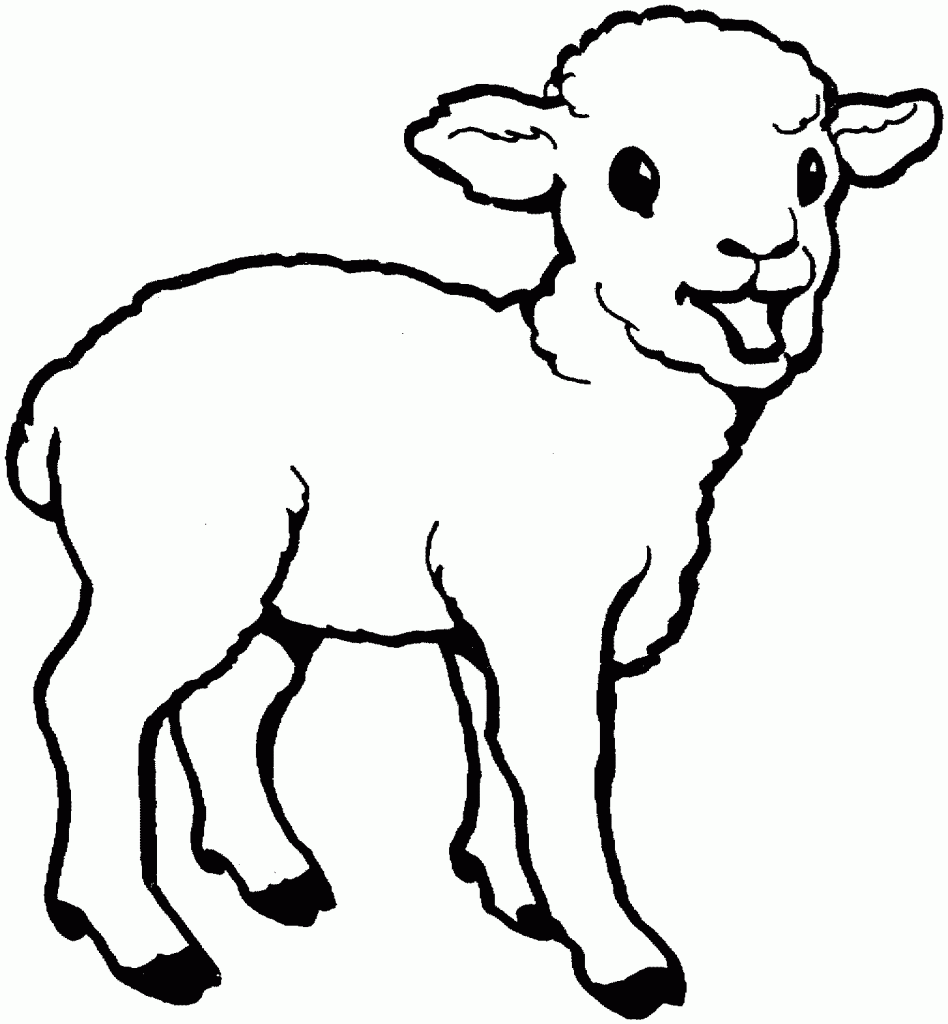 Free Printable Sheep Coloring Pages For Kids