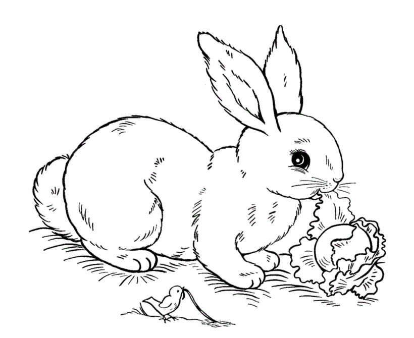 Eeaster Bunny Coloring Pages Kids