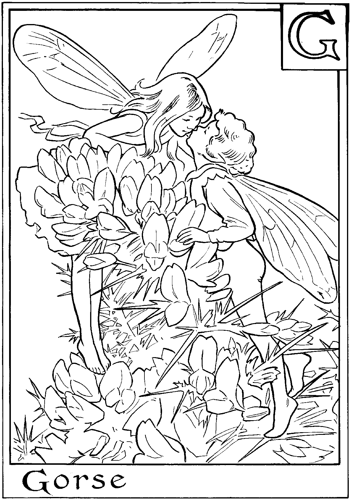 fairy coloring page