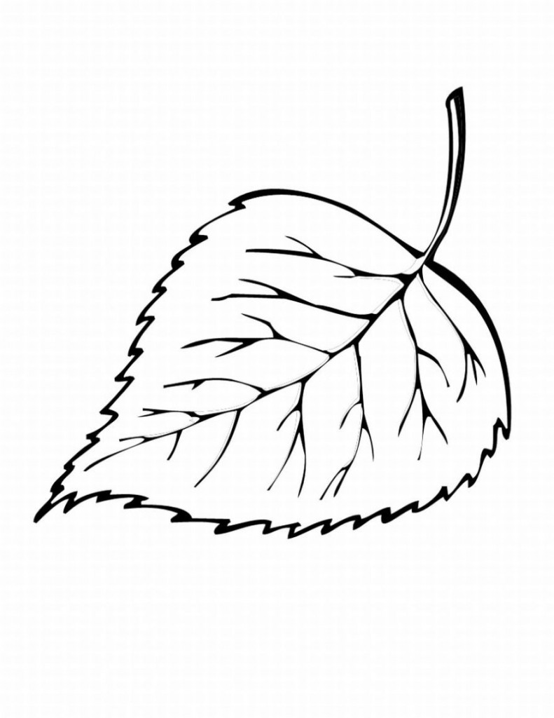 Fall Leaf Coloring Page 791x1024