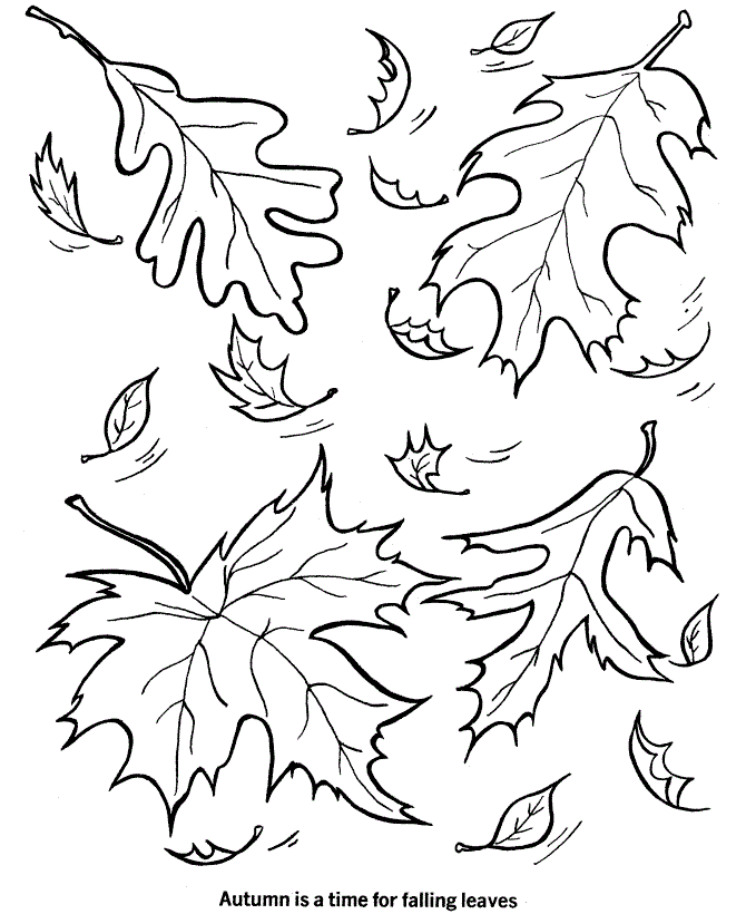 Free Printable Leaf Coloring Pages For Kids Coloring Wallpapers Download Free Images Wallpaper [coloring654.blogspot.com]