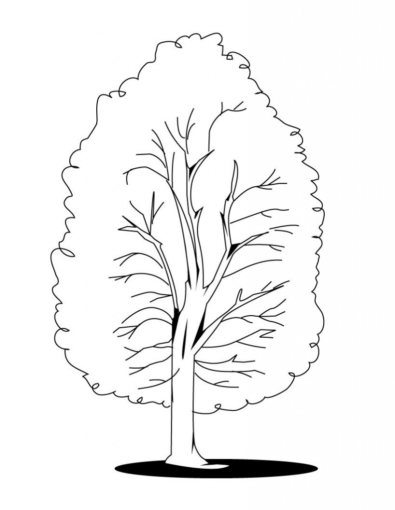 Free Printable Tree Coloring Pages For Kids