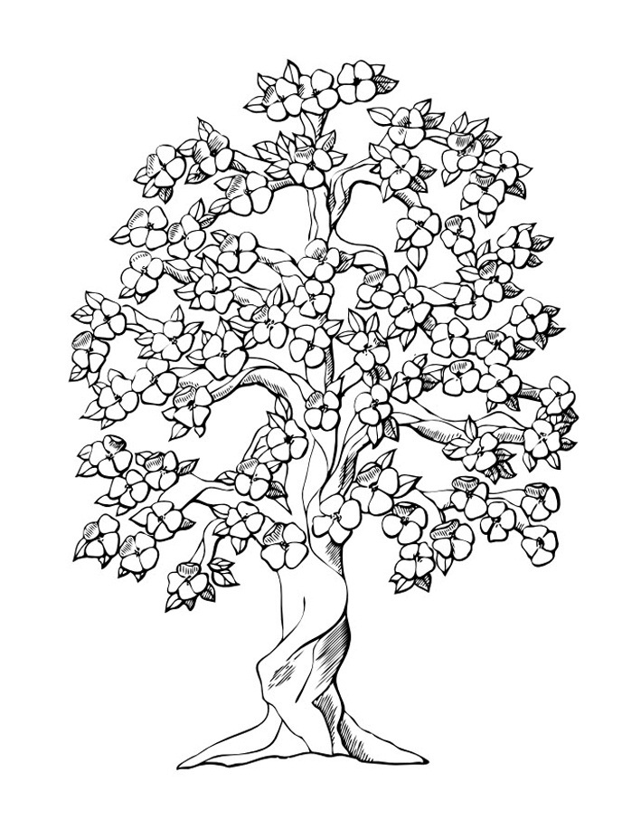 Free Printable Tree Coloring Pages