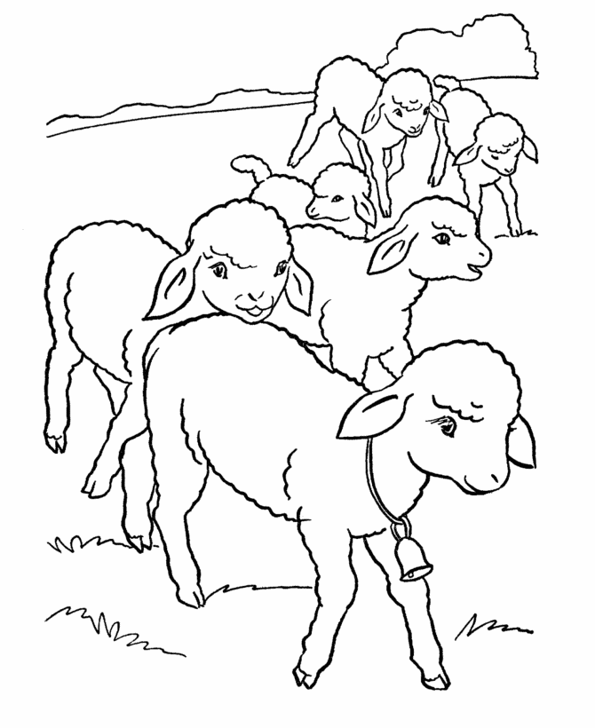 Images of Sheep Coloring Pages