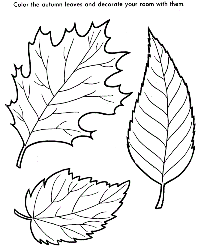 Free Printable Leaf Coloring Pages Free printable leaf coloring pages for kids