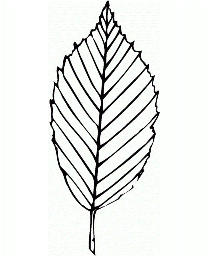 Oak Leaf Coloring Page