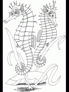 free printable ocean coloring pages for kids