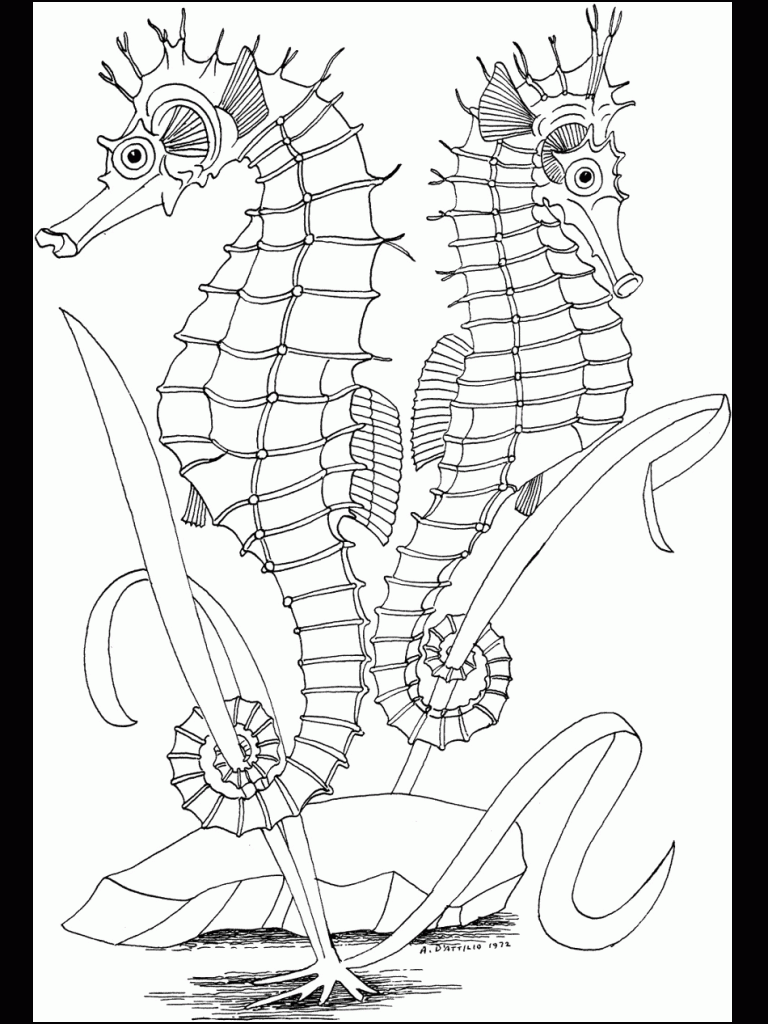 Free Printable Ocean Coloring Pages For Kids