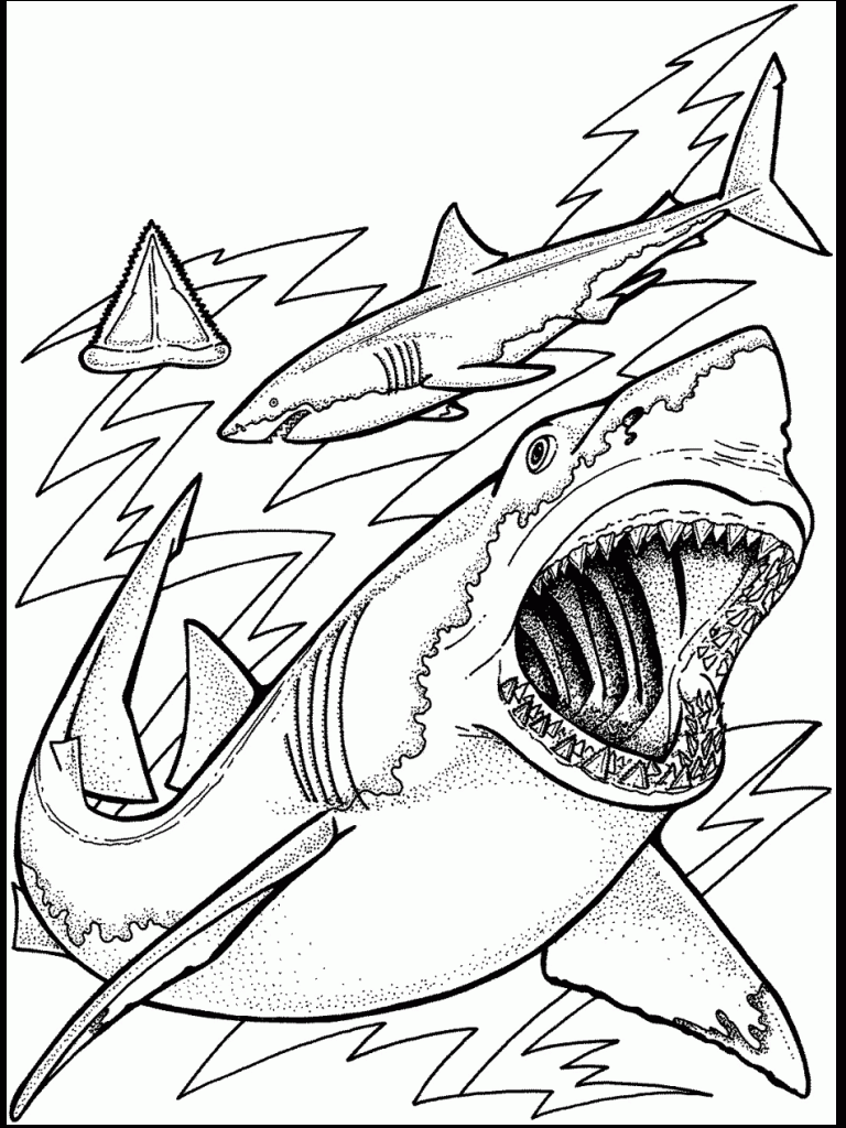 Ocean Fish Coloring Pages