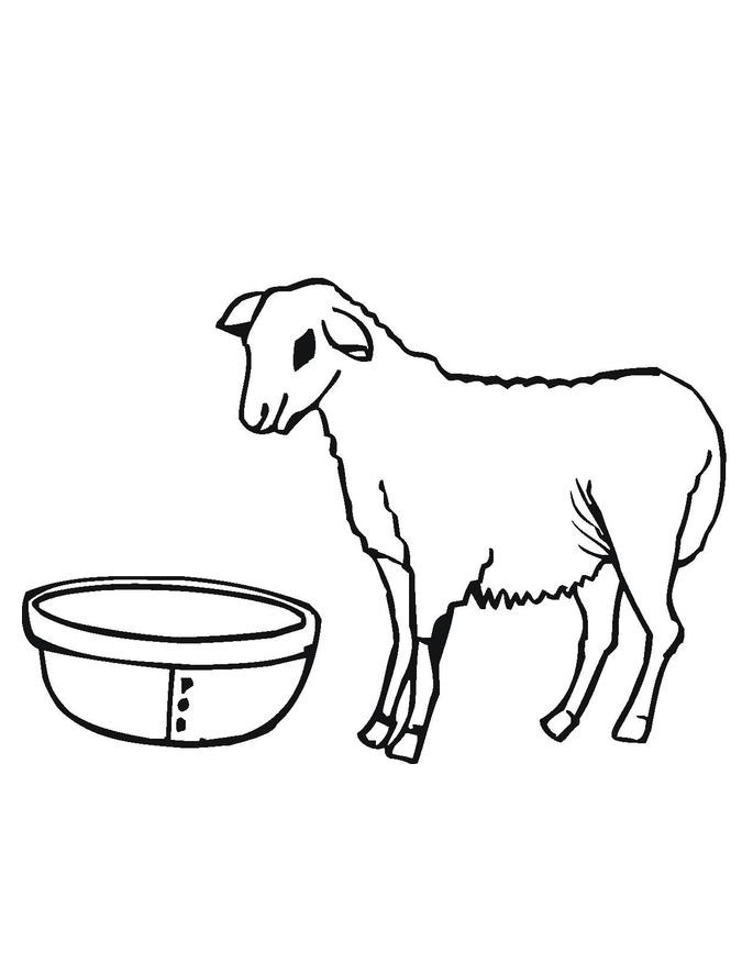 Pictures of Sheep Coloring Page