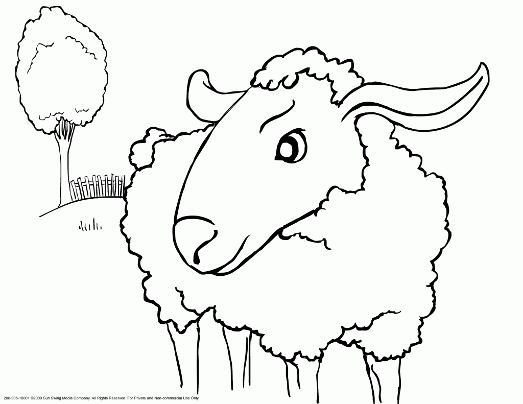 Printable Sheep Coloring Pages