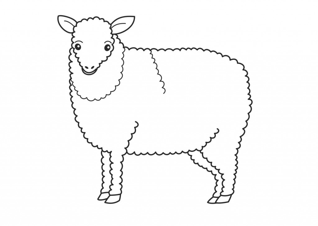 Printable Sheep Coloring Pages For Kids