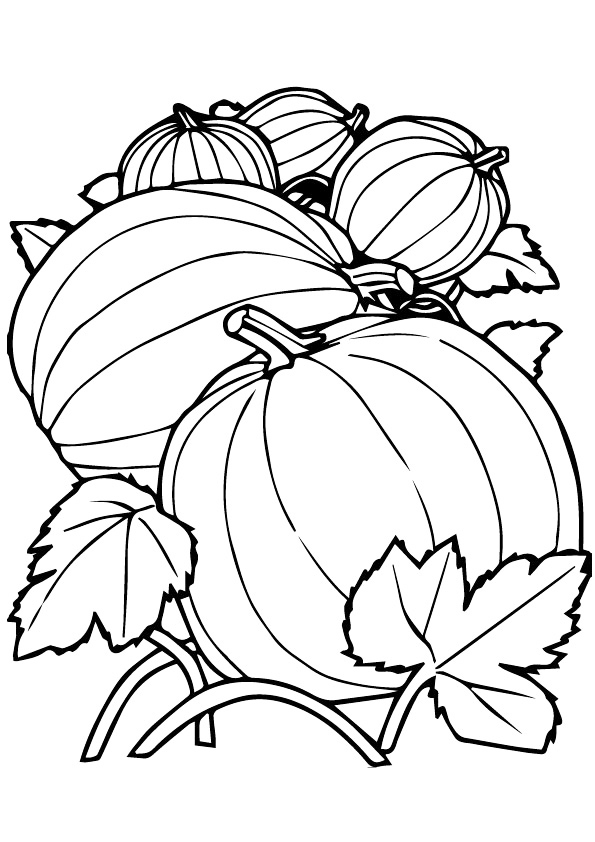 Pumpkin Patch Coloring Page