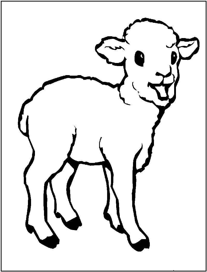 Printable Lamb Pictures Printable Word Searches