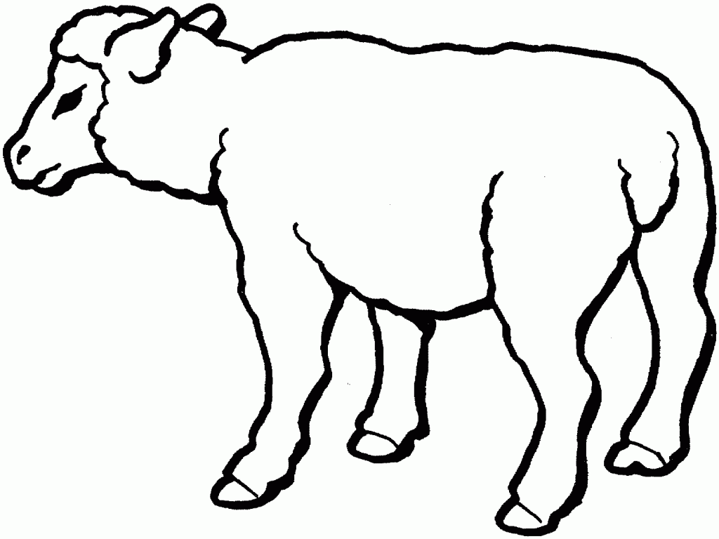 Sheep Coloring Page To Print