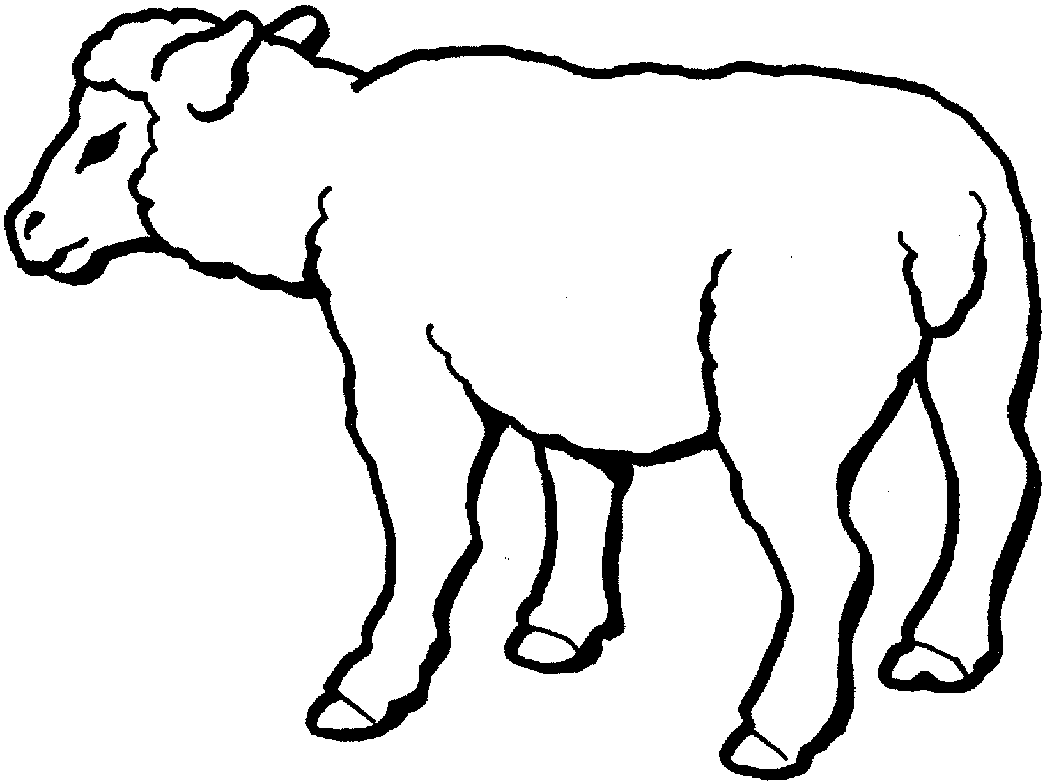 Featured image of post Farm Animal Coloring Pages Sheep : There&#039;s no flies on these guys!