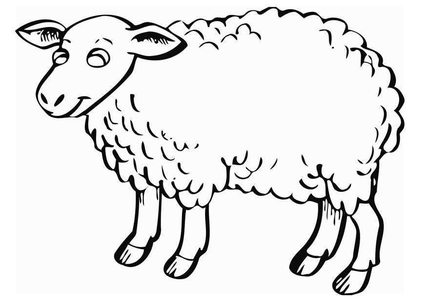 Free Printable Sheep Coloring Pages For Kids Free Printable Sheep Coloring Pages For Kids