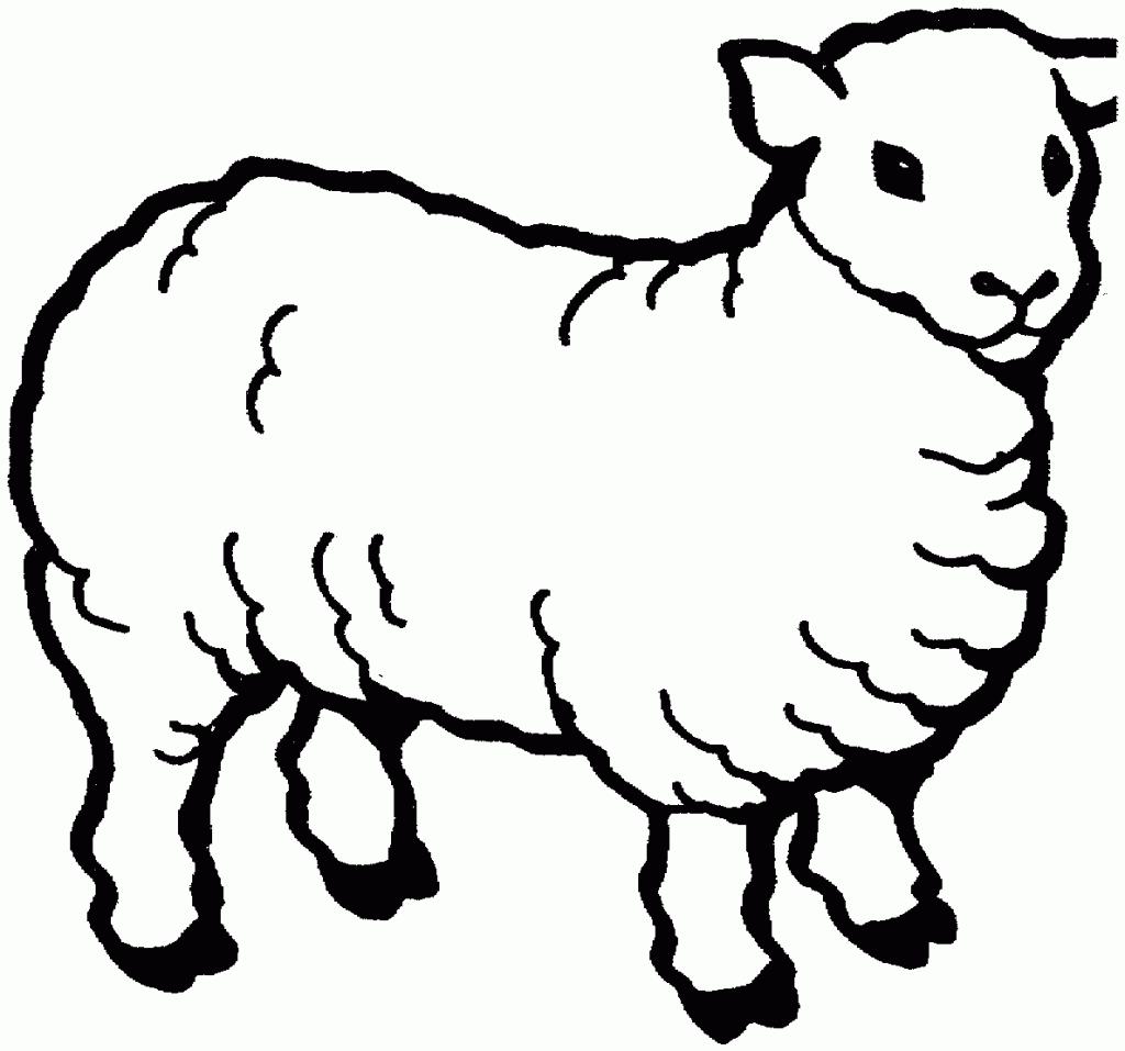 Sheep Coloring Pages For Kids