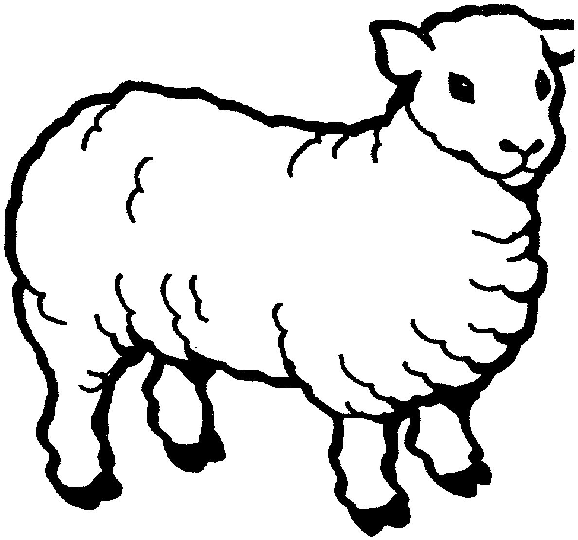 sheep coloring printable
