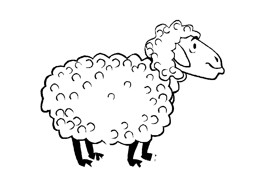 Sheep Coloring Pages Images