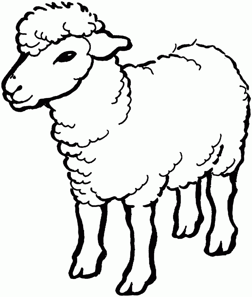 Sheep Coloring Pages Pictures
