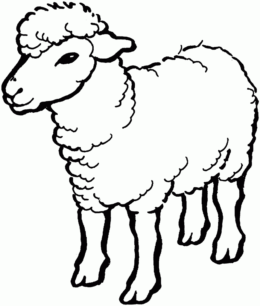 Free Printable Sheep Coloring Pages For Kids