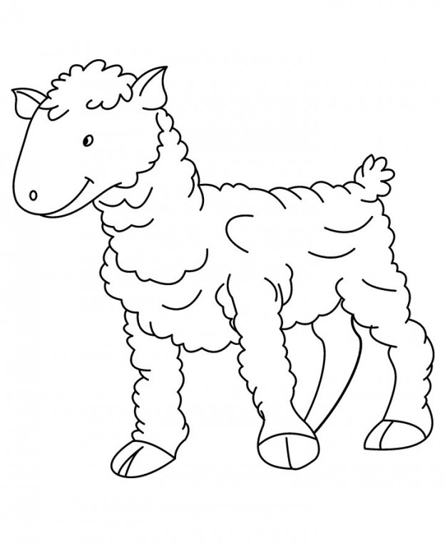 Free Printable Sheep Coloring Pages For Kids