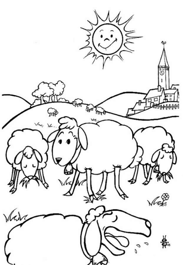 sheep coloring pages