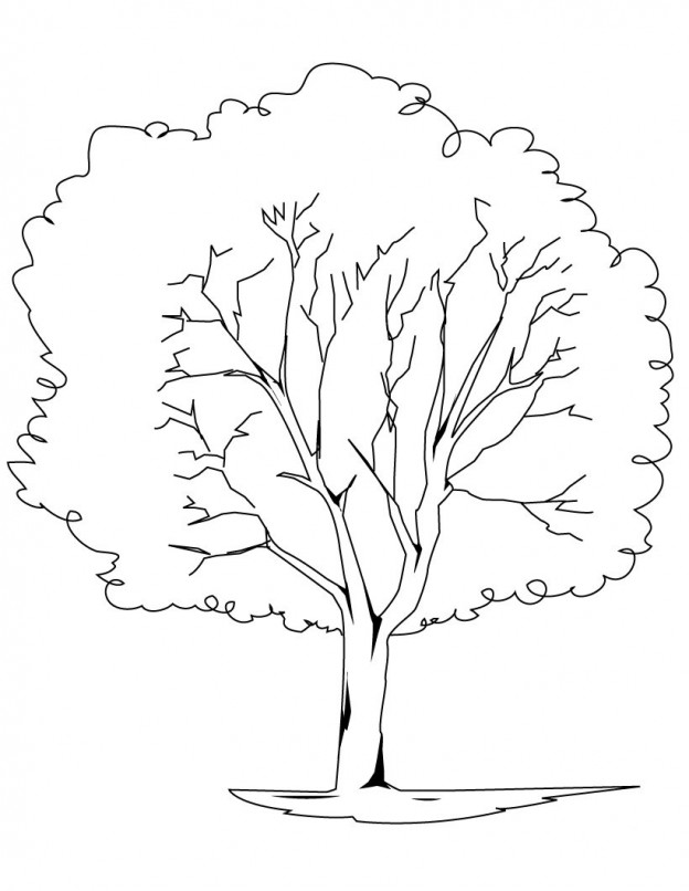 Simple Tree Coloring Page