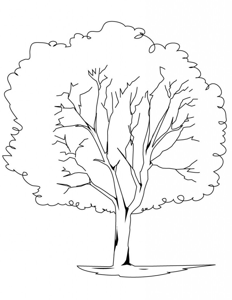 Tree Coloring Page