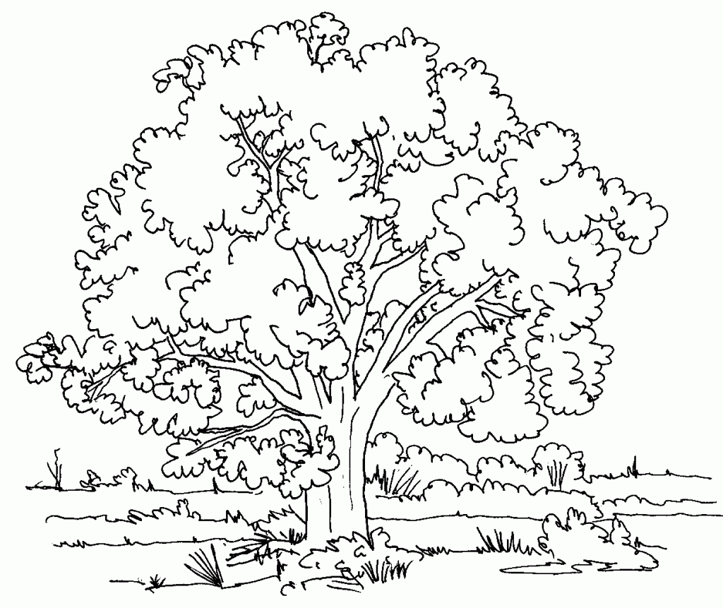 Free Printable Tree Coloring Pages For Kids