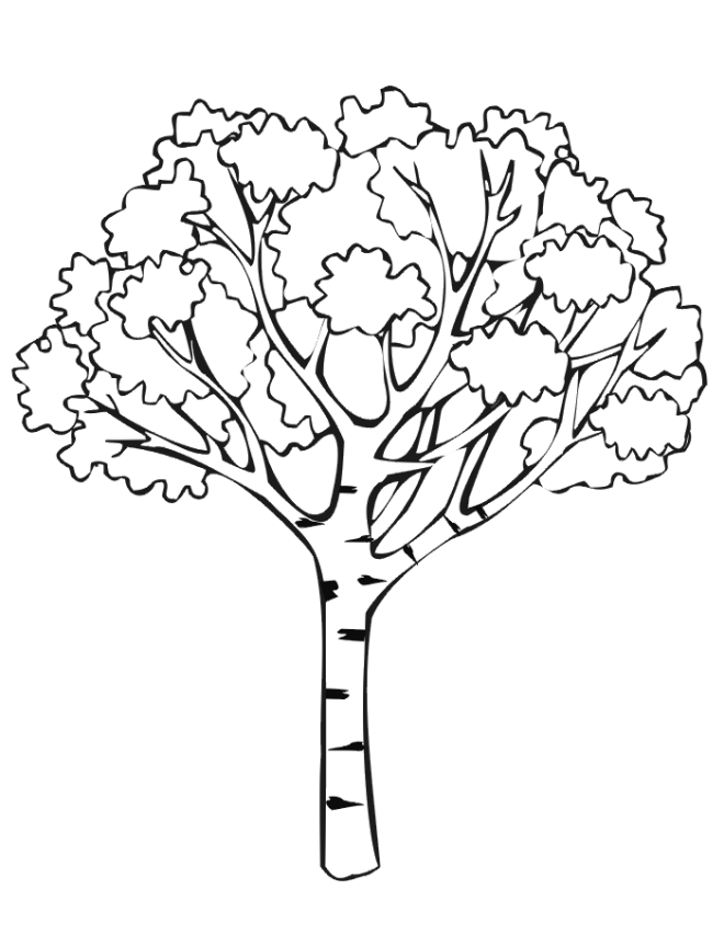 Tree Coloring Pages To Print