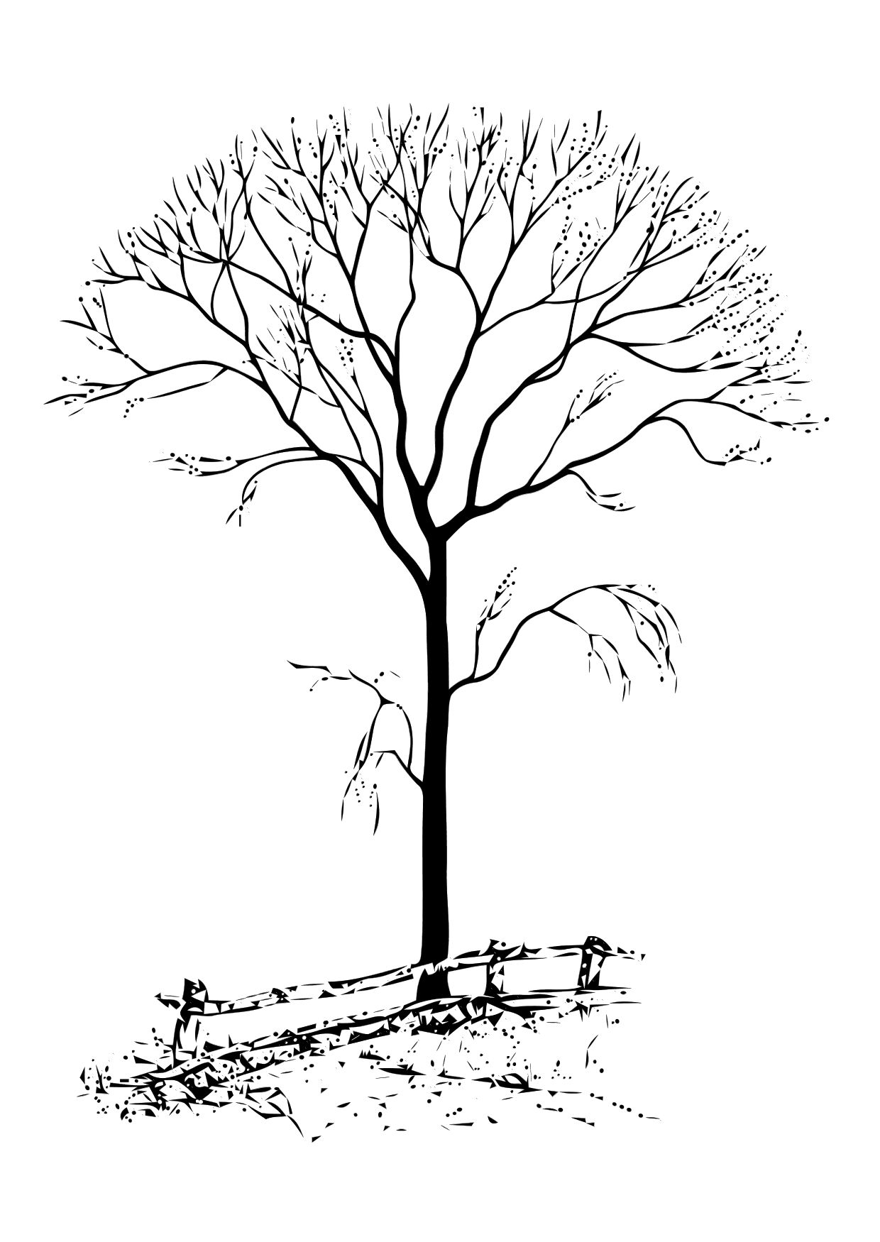 drawings of flowers  Cartoon trees, Tree drawing, Tree coloring page