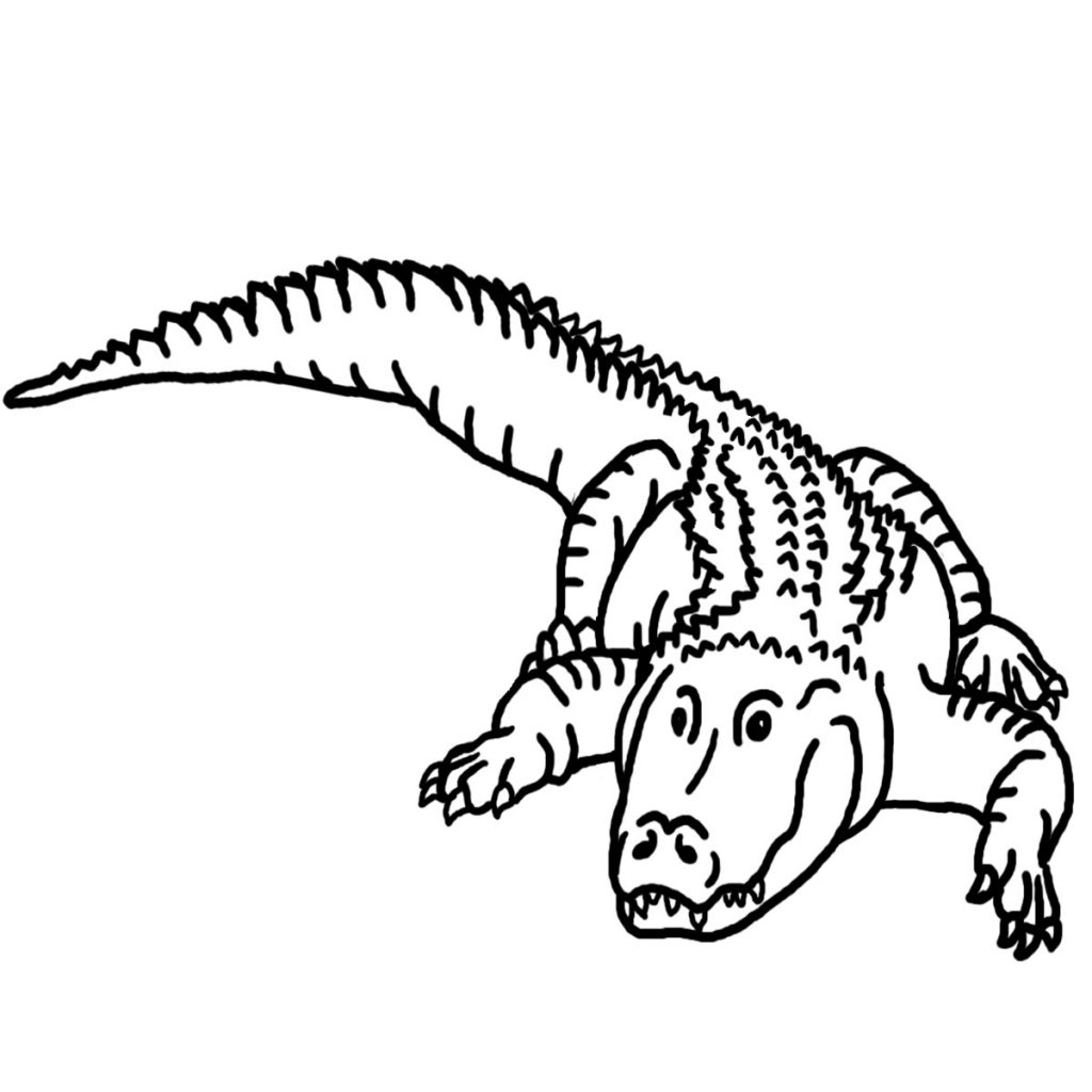 free-printable-alligator-coloring-pages-for-kids