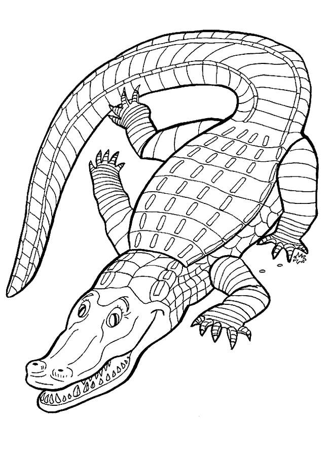 Alligator Coloring Pages Pictures